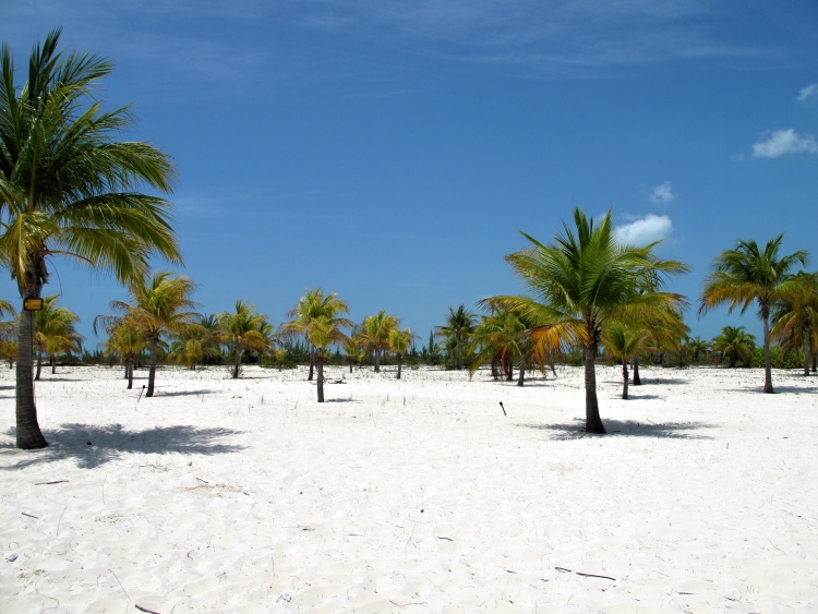 Try to travel off season to keep the costs down (Cayo Largo, Cuba)