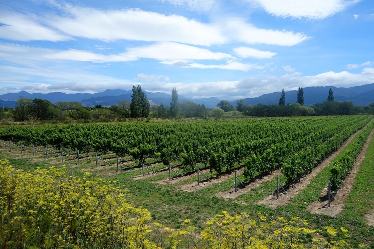  Marlborough, New Zealand