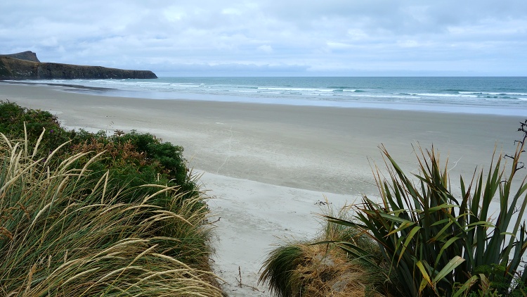 Otago Peninsula, South Island, New Zealand