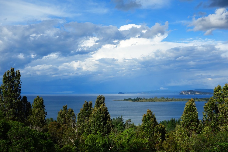 Some countries are more suitable for driving than others (Lake Taupo, New Zealand)