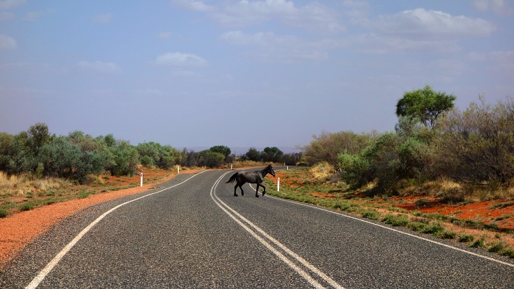 Always allow extra time for the unexpected (Red Centre Way, Australia)