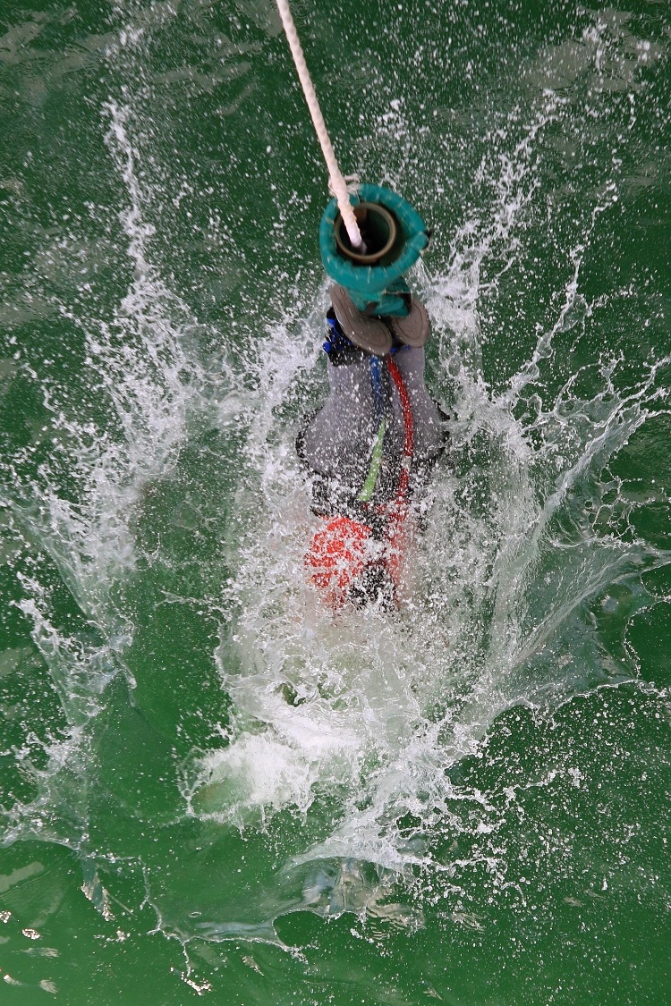 Touching the water was the best part