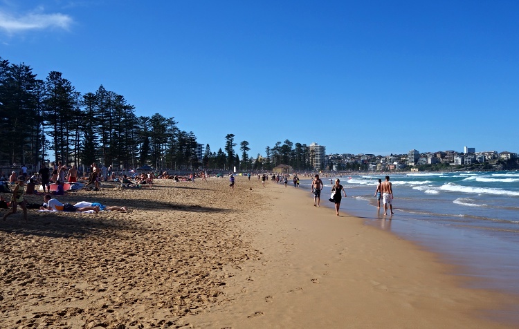 Manly beach is great for surfing, swimming and sunbathing