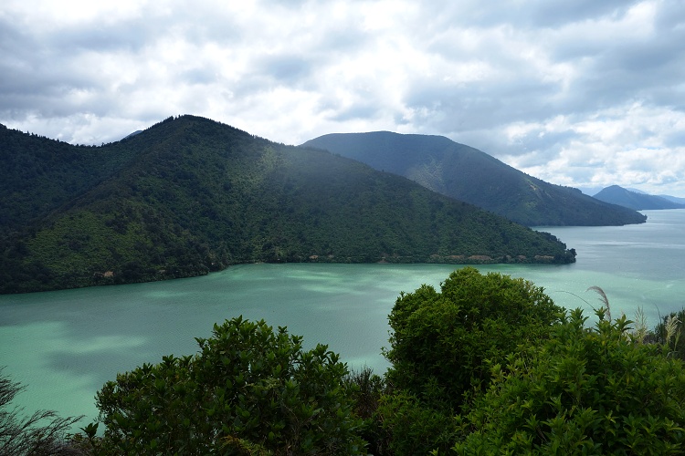 Cullen Point Lookout, Marlborough, New Zealand