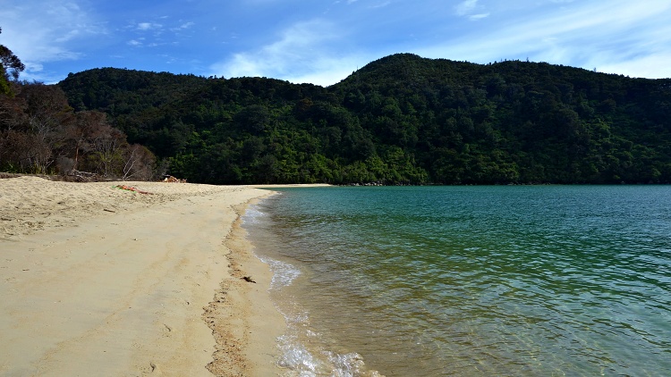 Motorhomes are more expensive than cars but you save money on accommodation and food (Abel Tasman National Park, New Zealand)