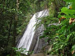 El Yunque waterfall, Puerto Rico
