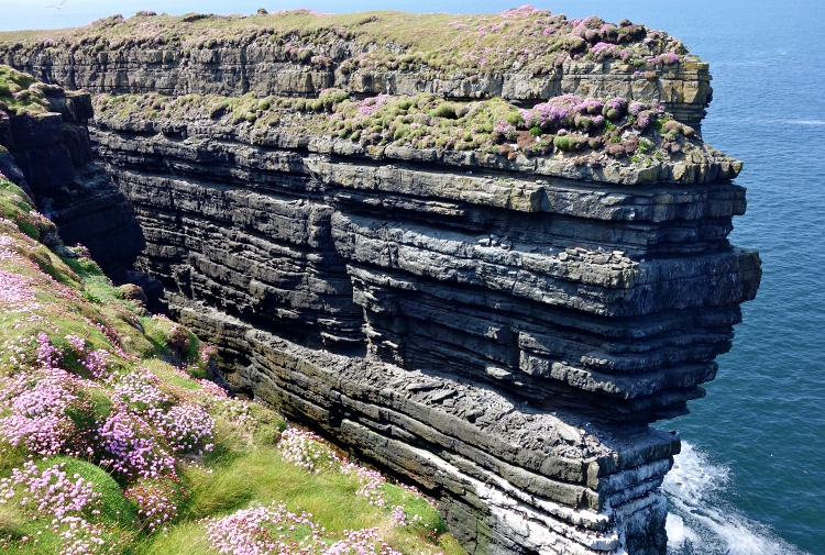Diarmuid and Grainne’s Rock is inhabited by many bird colonies