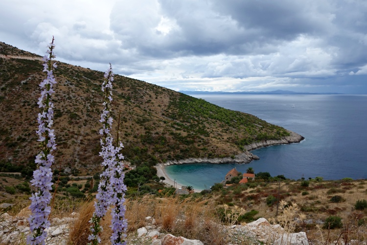 The best way to explore Hvar Island is by car or scooter