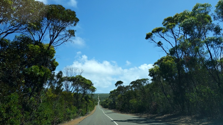 The best way to explore the island is by car