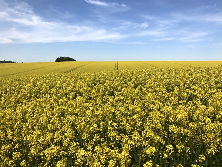 One of our favourite views while driving in the Czech Republic