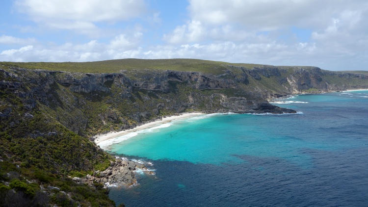 Walk to the lookout to enjoy the views of the abandoned Weirs Cove and the coastline