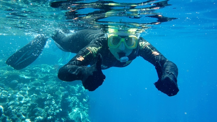 We only snorkelled the Great Barrier Reef in the end